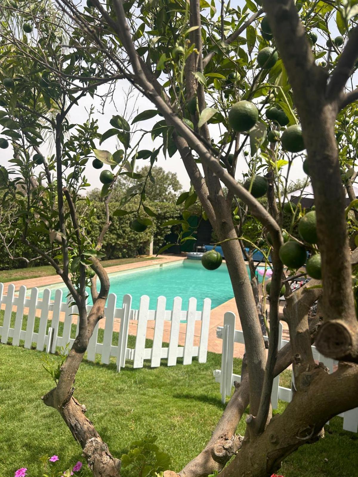 Villa Orangeraie Agadir Buitenkant foto